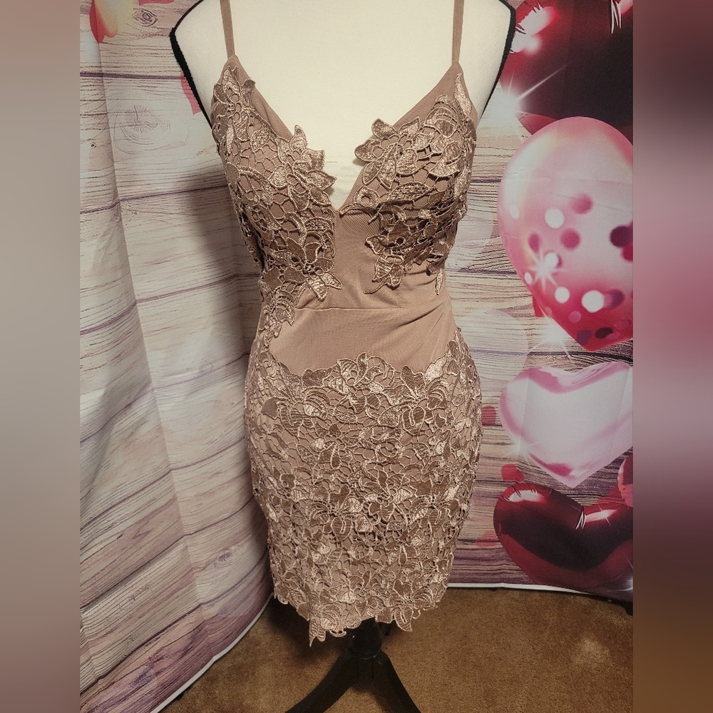 Elegant Lace Overlay Dress - Picture 4 of 11